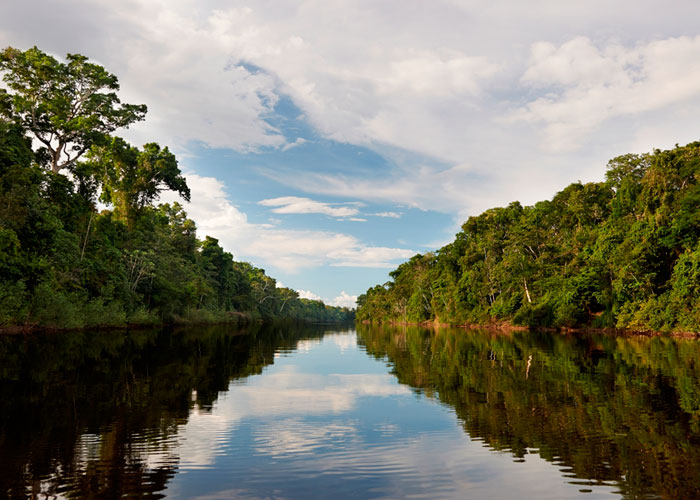 Jungle Travel Packages Iquitos Pacaya Samiria 5 days